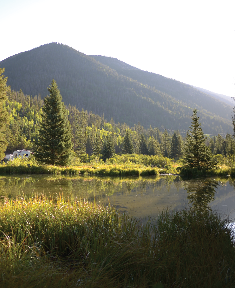 Clear Creek Cabins property and mountain scenery